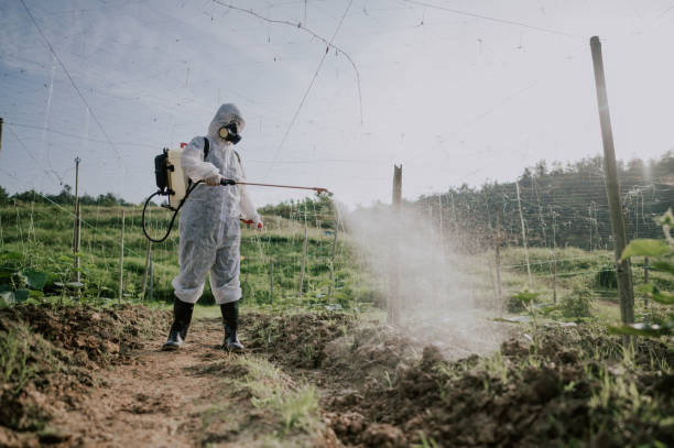 Best Pest Removal Services  in Bandon, OR