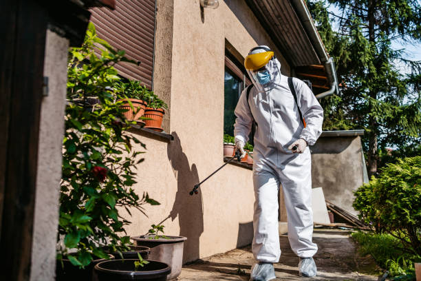Bird Control in Bandon, OR