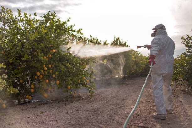 Best Cockroach Control Services  in Bandon, OR