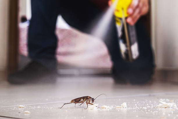Best Emergency Pest Control  in Bandon, OR