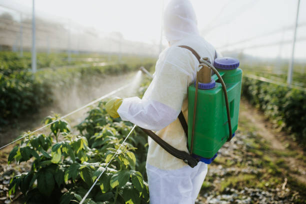 Best Exterminator Services  in Bandon, OR